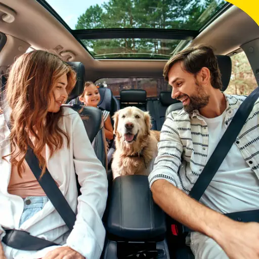 Family with a dog in their car